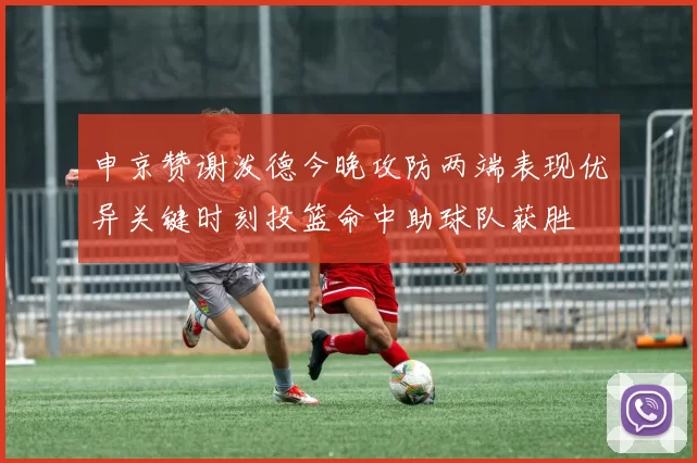 申京赞谢泼德今晚攻防两端表现优异关键时刻投篮命中助球队获胜