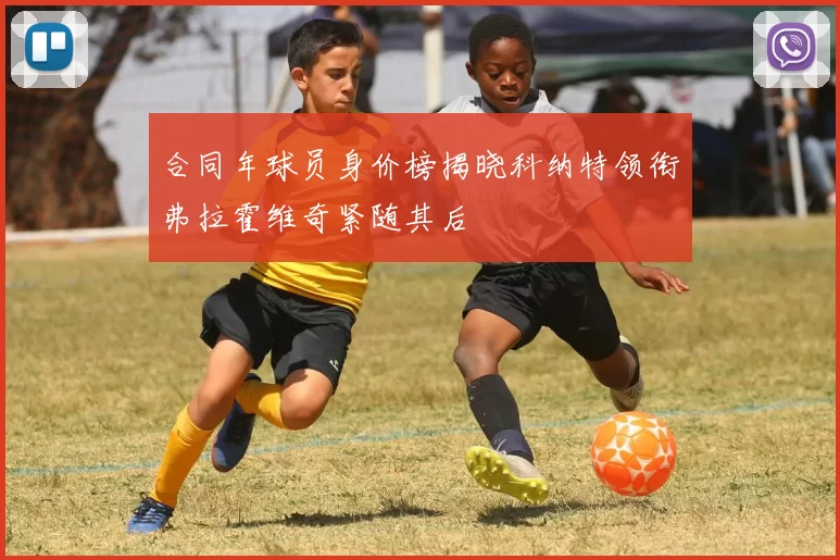 合同年球员身价榜揭晓科纳特领衔弗拉霍维奇紧随其后